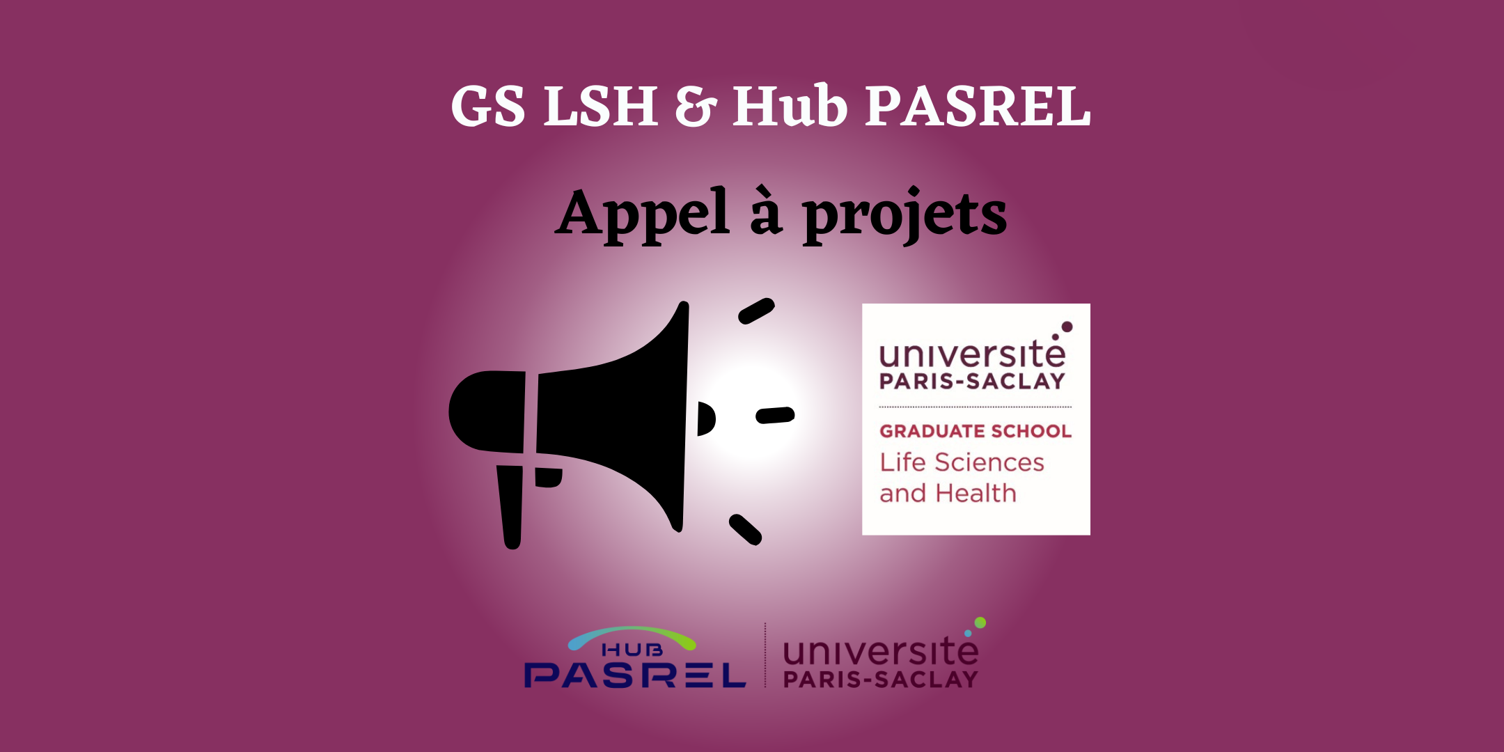 Appel à projet conjoint Hub PASREL – GS LSH