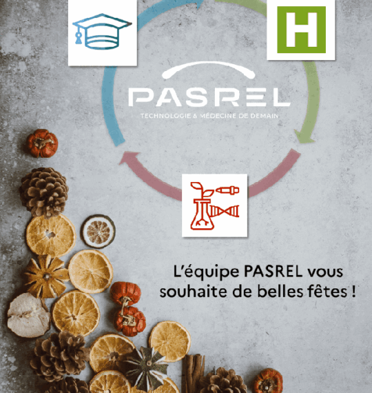 L’équipe PASREL vous souhaite de belles fêtes !
