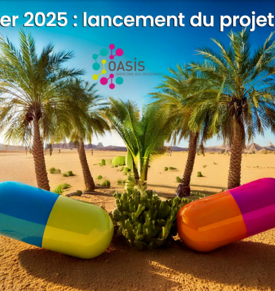 Optimiser les anticorps conjugués : le CEA-Joliot engagé dans le programme européen OASIS