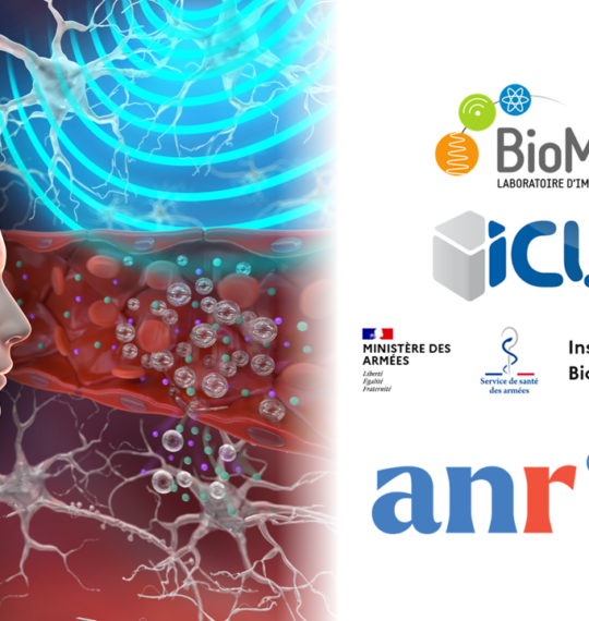 Projet OPUS retenu par l’ANR – BioMaps, IRBA, ICube