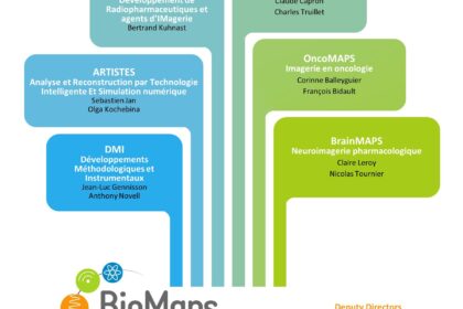BioMaps : une nouvelle organisation pour renforcer l’impact de l’imagerie biomédicale multimodale