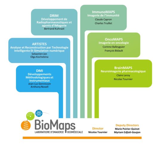 BioMaps : une nouvelle organisation pour renforcer l’impact de l’imagerie biomédicale multimodale