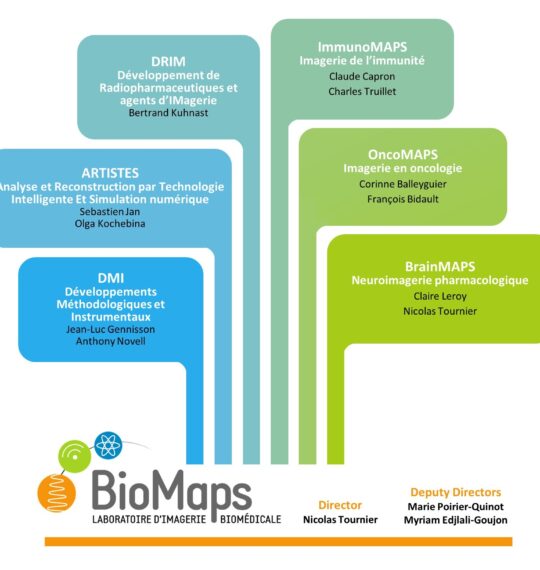 BioMaps : une nouvelle organisation pour renforcer l’impact de l’imagerie biomédicale multimodale